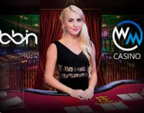 PG免费版模拟器客户端